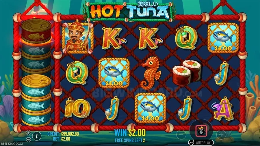 Interactive Live Casino Gaming Interface